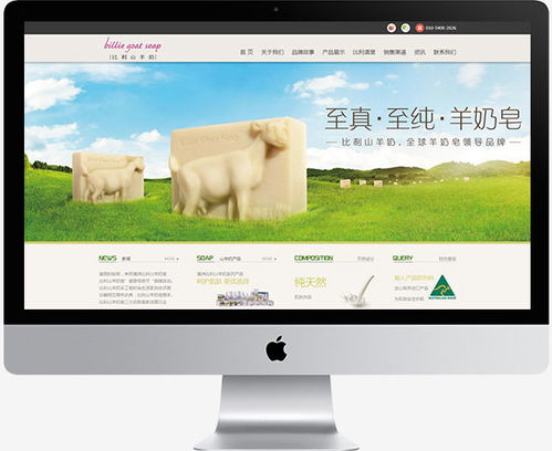 傲來網(wǎng)絡(luò) 一站式數(shù)字營(yíng)銷解決方案，驅(qū)動(dòng)品牌增長(zhǎng)新引擎